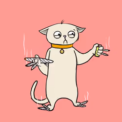 Blazed Cat #7981