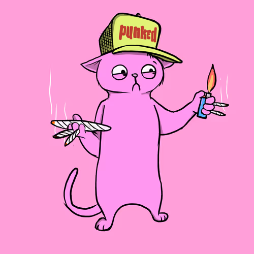 Blazedcats