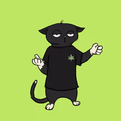 Blazed Cat #9184