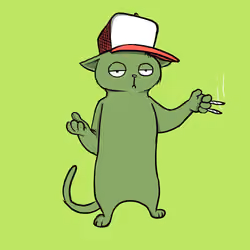 Blazed Cat #7006