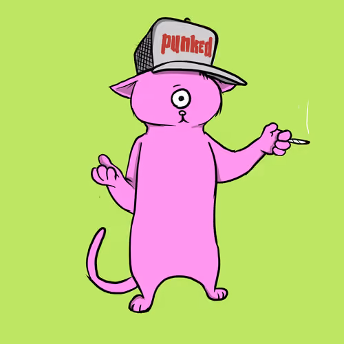 Blazed Cat #7730