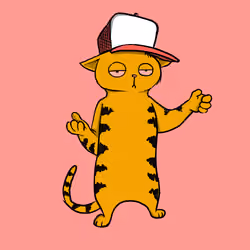 Blazed Cat #3307