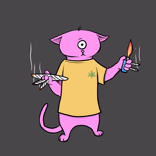 Blazed Cat #5280