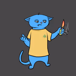 Blazed Cat #9345