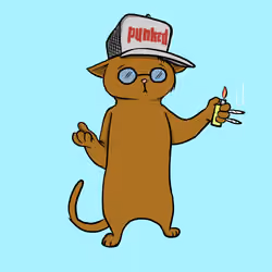 Blazed Cat #6729
