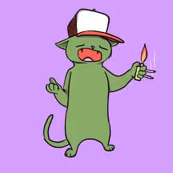 Blazed Cat #4977