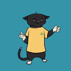 Blazed Cat #8703
