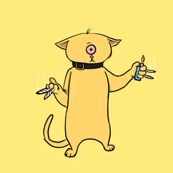Blazed Cat #7181