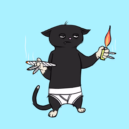 Blazed Cat #6247