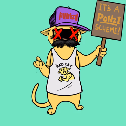 Blazed Cat 69 + 1