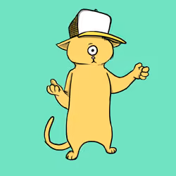 Blazed Cat #109