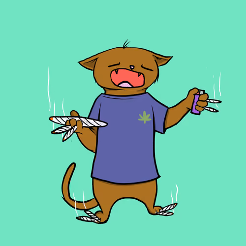 Blazed Cat #7429