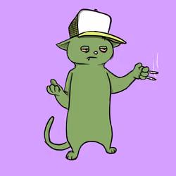 Blazed Cat #6929