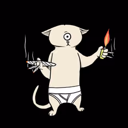 Blazed Cat #97
