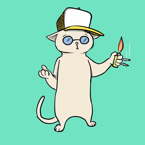 Blazed Cat #8018