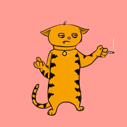 Blazed Cat #8587