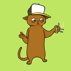 Blazed Cat #4007