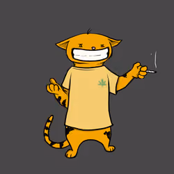 Blazed Cat #9874