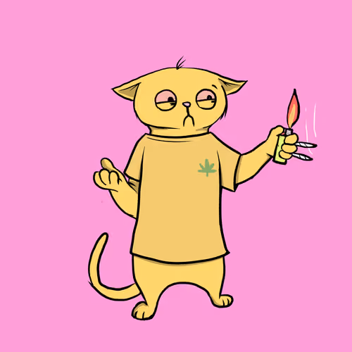 Blazed Cat #824