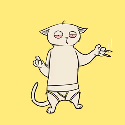 Blazed Cat #815