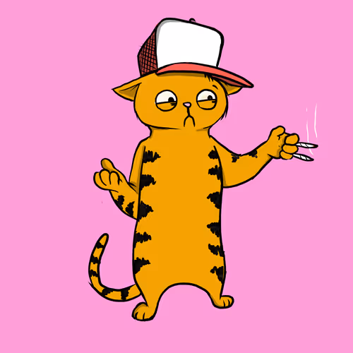 Blazed Cat #19