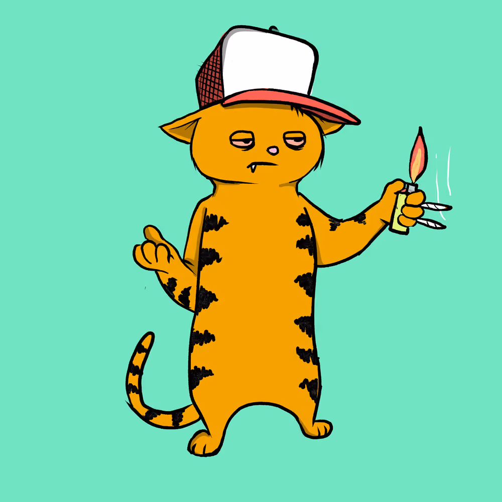 Blazed Cat #26