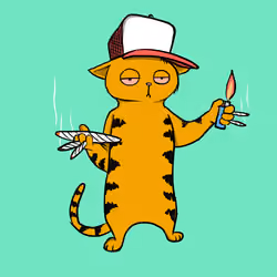 Blazed Cat #9467