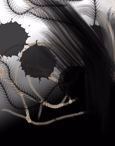 Disappear