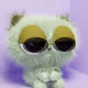 9754
