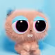 3237