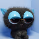 9276