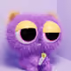 7979