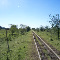 Tracks