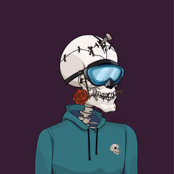 Wicked Cranium #9700