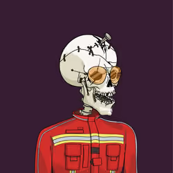 Wicked Cranium #893