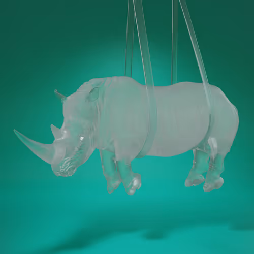 RHINO #74
