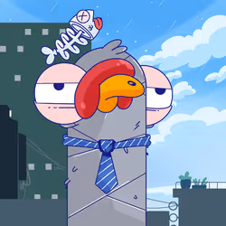 816