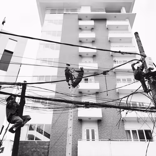 Flowers on the Collapsed Wall
