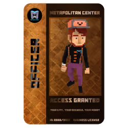 Business License NFT #833