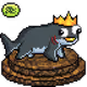5077