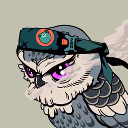BirdZuki #1288