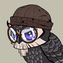 BirdZuki #1347
