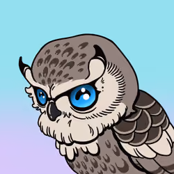 BirdZuki #1770