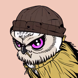 BirdZuki #931