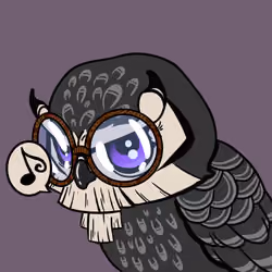 BirdZuki #1556