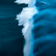 Ocean & Earth