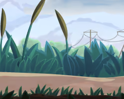 Swan Meadows #10