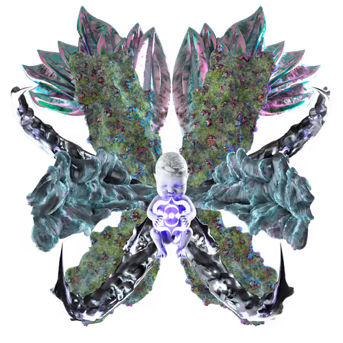 The Rebirth Nft