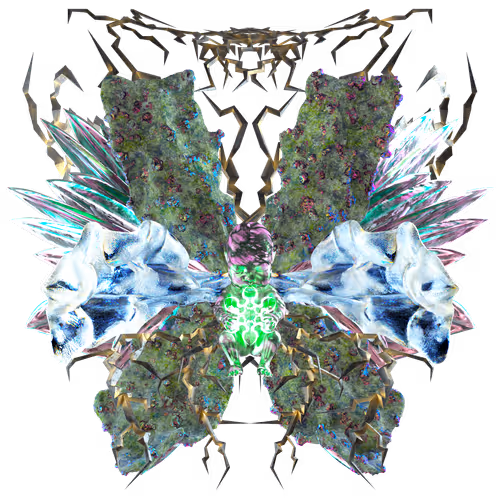 The Rebirth Nft