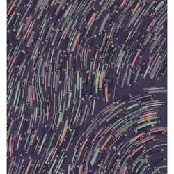 Cascade #211